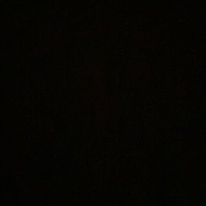 Meet your Posher, Ted